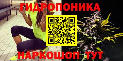 таблы Ставрополь