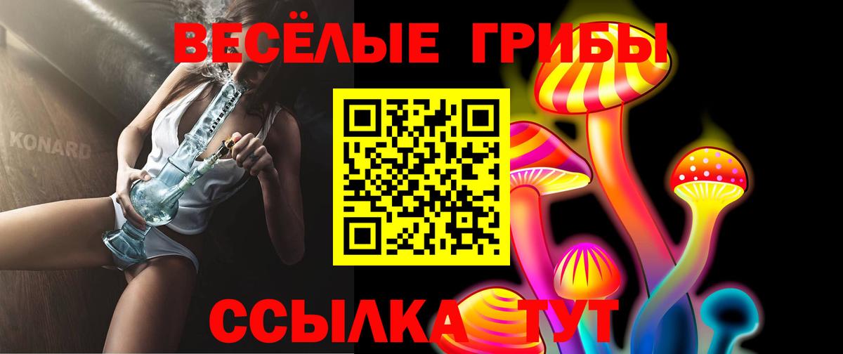 Приморско-Ахтарск  Галлюциногенные грибы мухоморы  Вход с VPN 