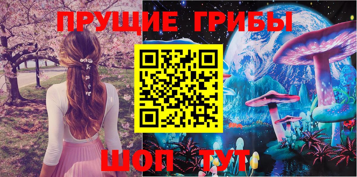 Галлюциногенные грибы GOLDEN TEACHER Приморско-Ахтарск
